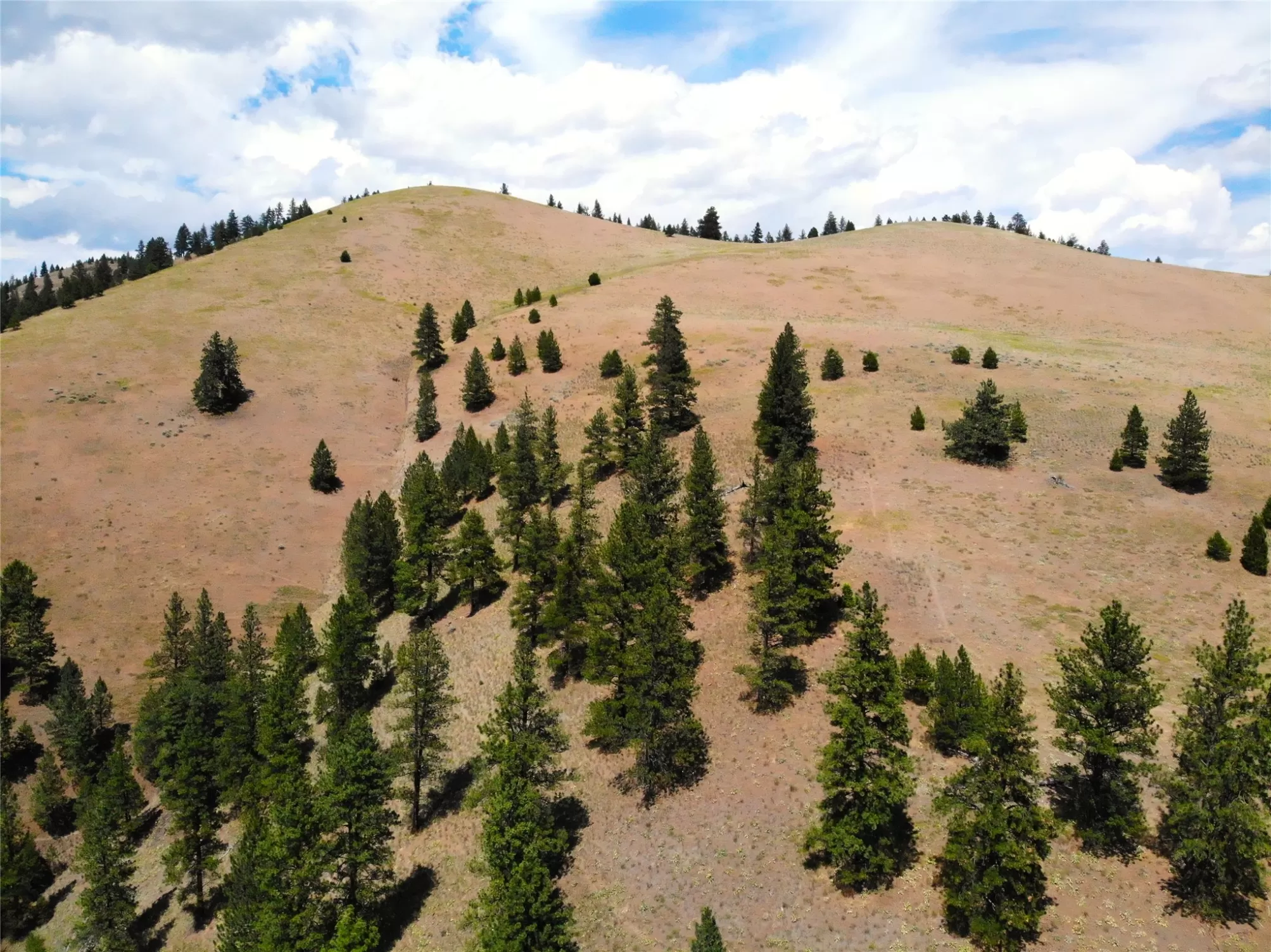 Nhn Nez Perce Loop Lolo Unimprovedland Waterfront