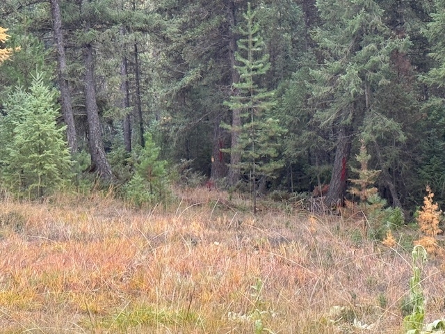 Nhn Glen Lake Road Eureka Waterfront