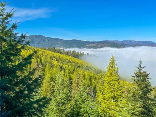 Nhn Pats Knob Road Plains Unimprovedland Waterfron