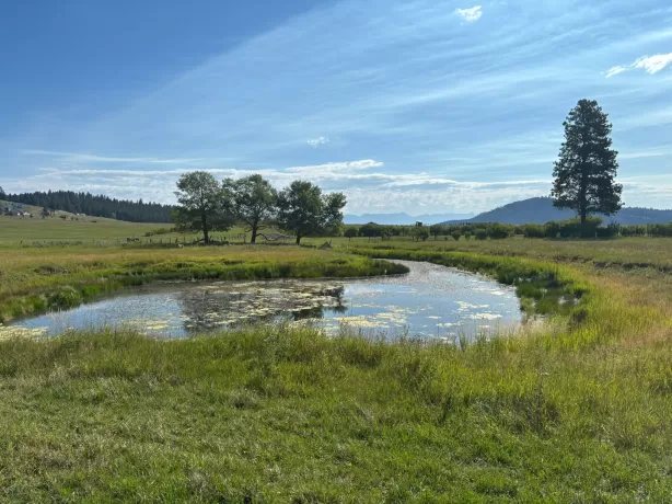 691 Morning View Drive Kalispell Ski Waterfront 5