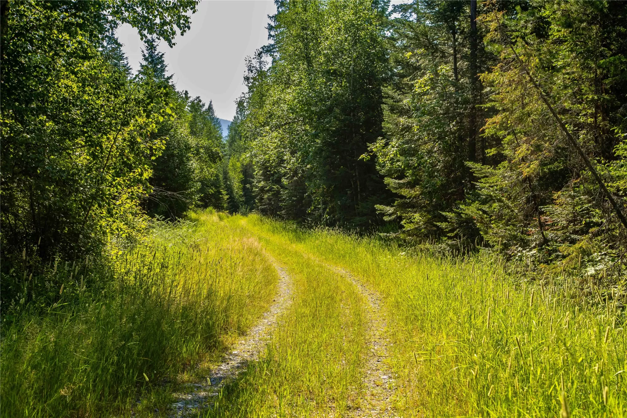 Nhn Windhaven Bigfork Waterfront 360 Acres