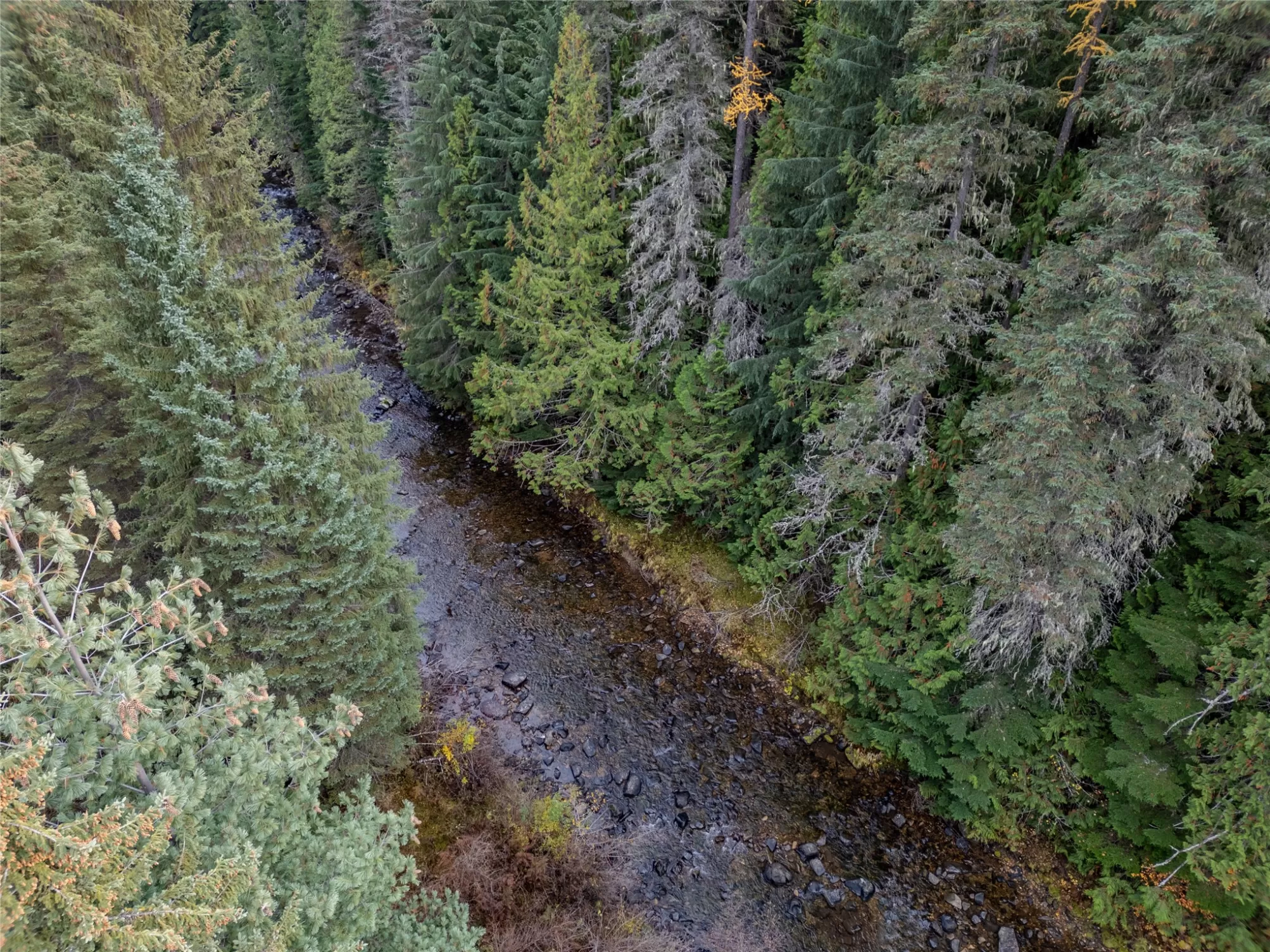 Nhn Seventeen Mile Road Yaak Unimprovedland Waterf