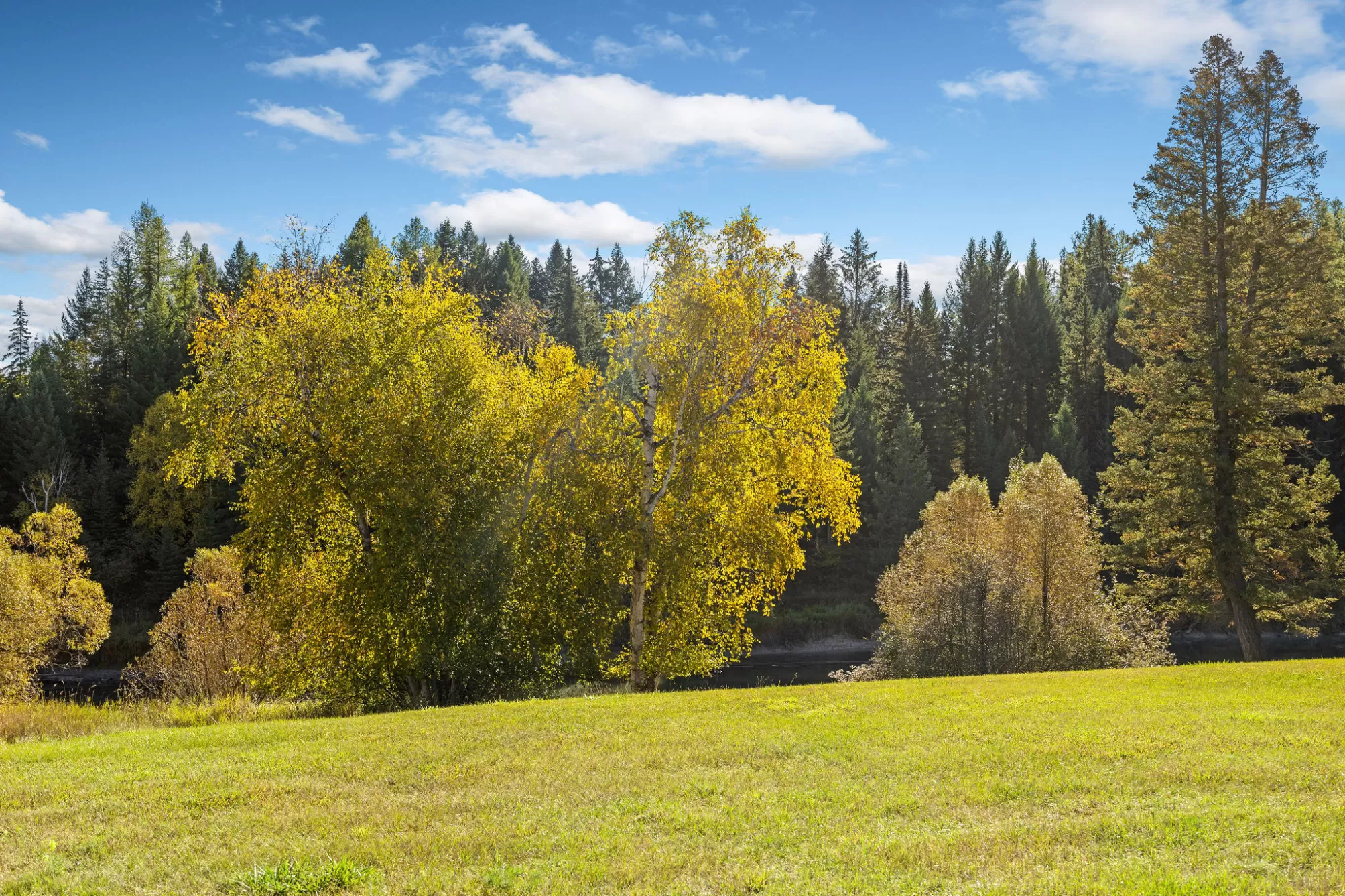 713 Clearwater Drive Whitefish Waterfront