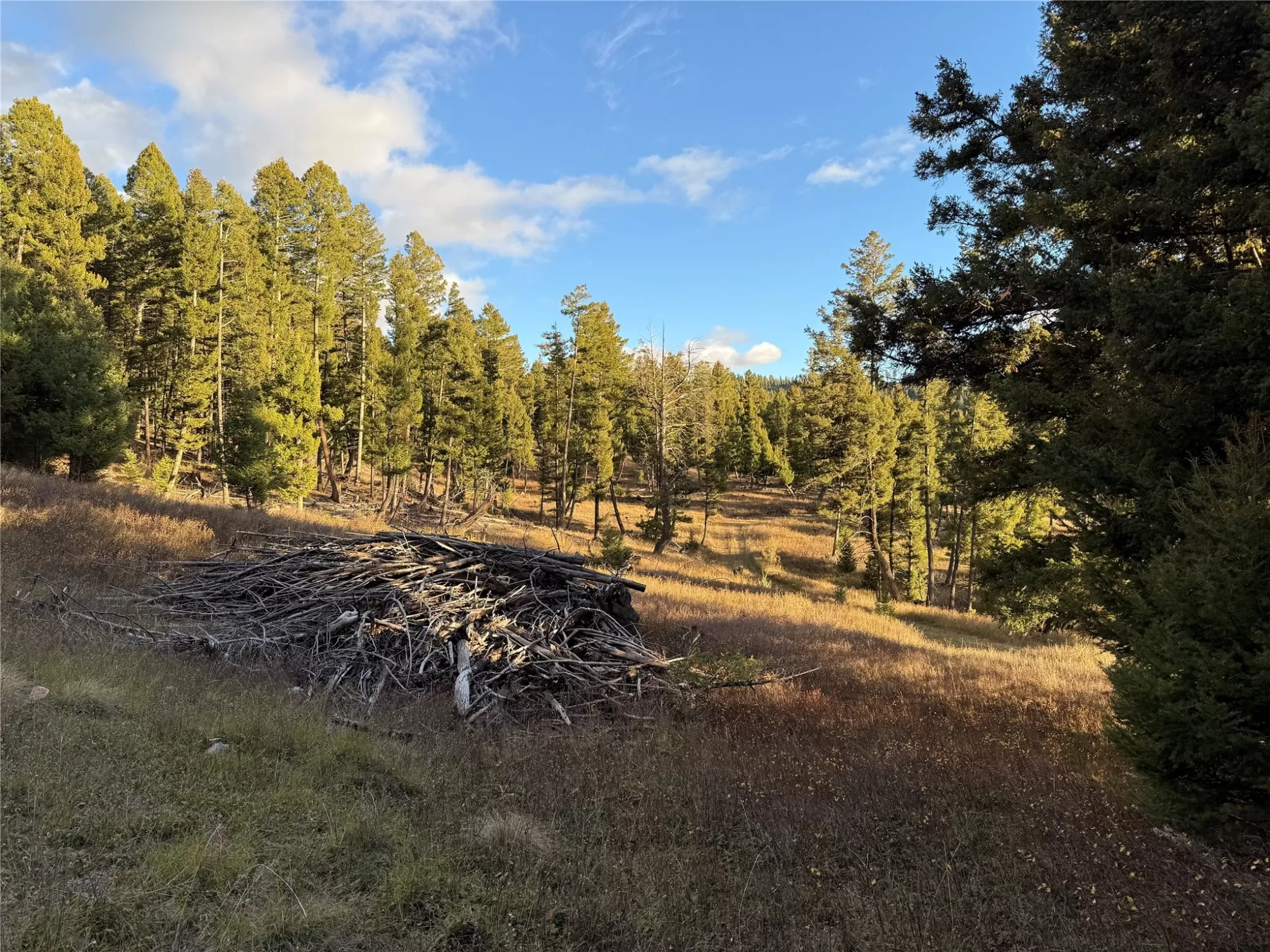 Lot 4 Scranton Lode Philipsburg Unimprovedland Ski