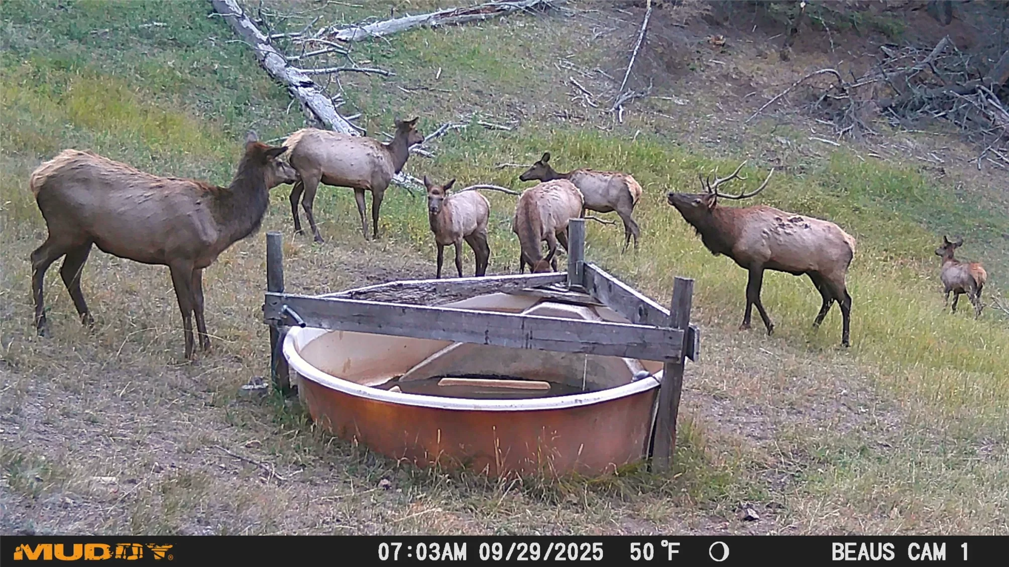 Lot 5 Ruby Mine Road Butte Unimprovedland Waterfro