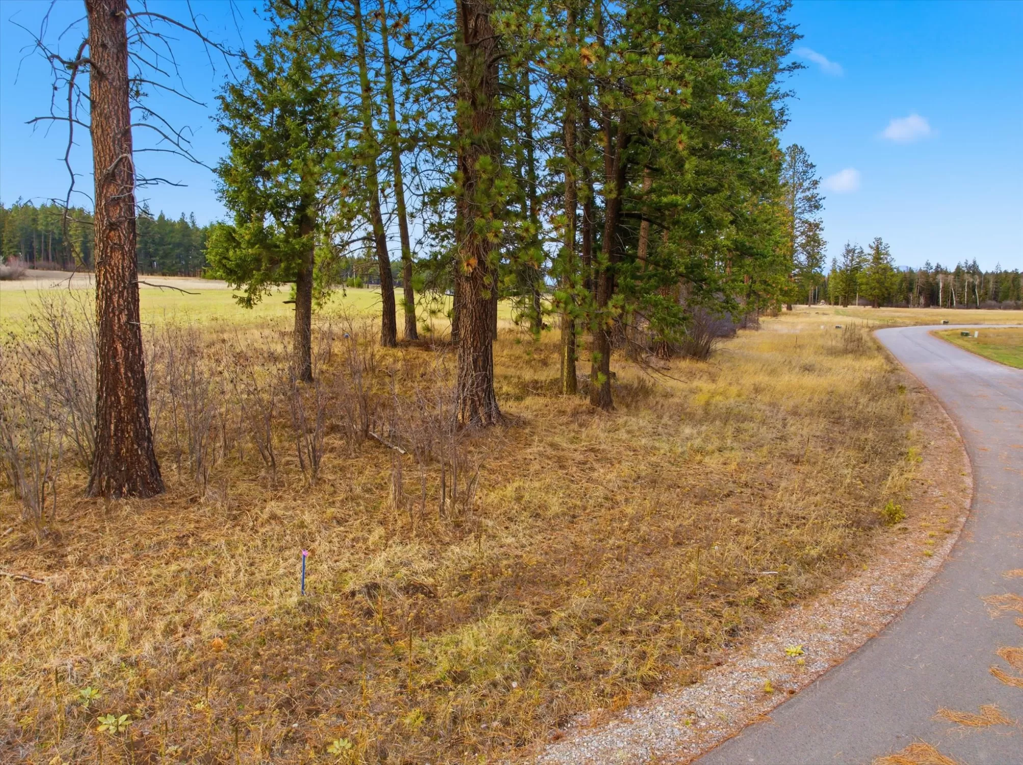 211 Patriots Lane Columbia Falls Horse Ski Waterfr