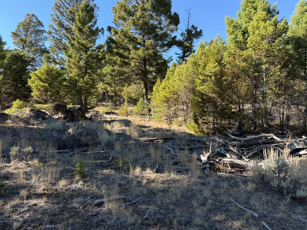 Tbd Upper Rader Creek Road Whitehall Unimprovedlan