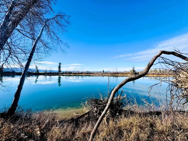 1262 Riverside Road Bigfork Horse Waterfront 21 Ac