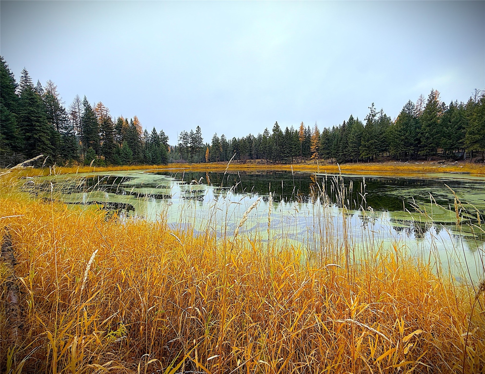 465   Nhn W Dodge Creek Road Rexford Waterfront 6