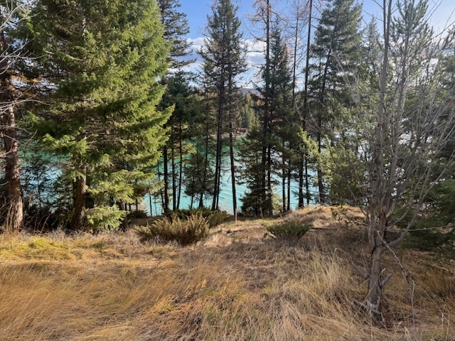 3910 N Ashley Lake Road Kalispell Unimprovedland W