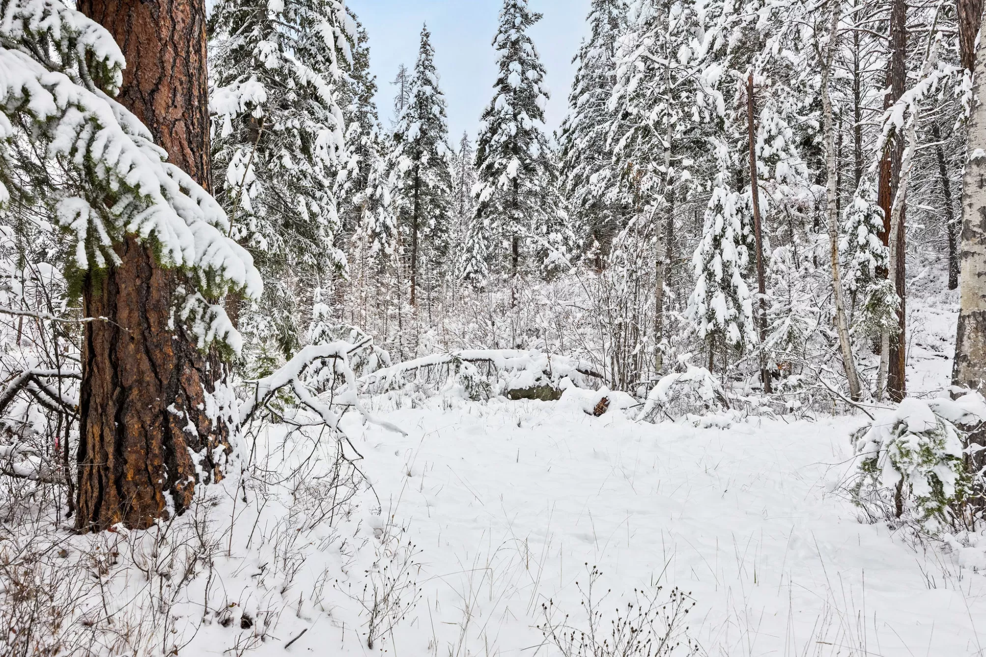 375 Ranch Road Bigfork Waterfront