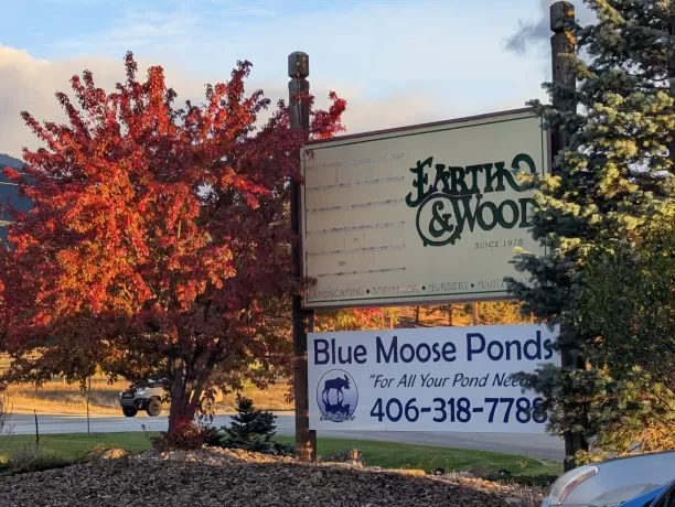 Blue Moose Ponds  Llc Stevensville Business Waterf