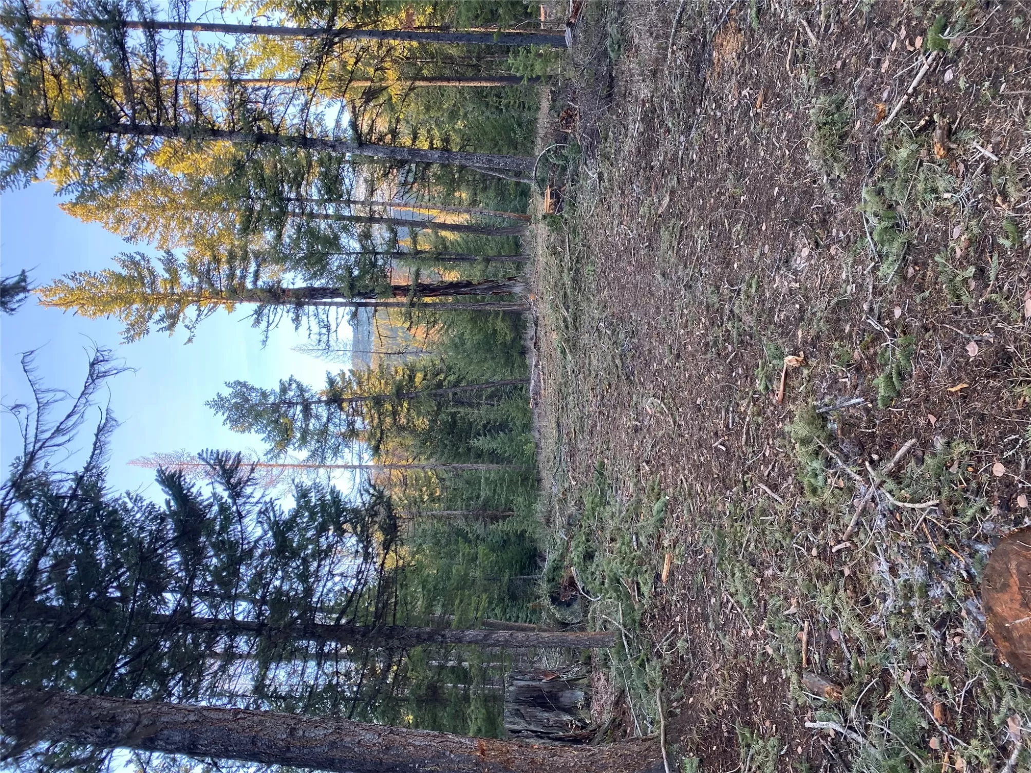 80 Blaney Lane Kila Unimprovedland Ski Waterfront