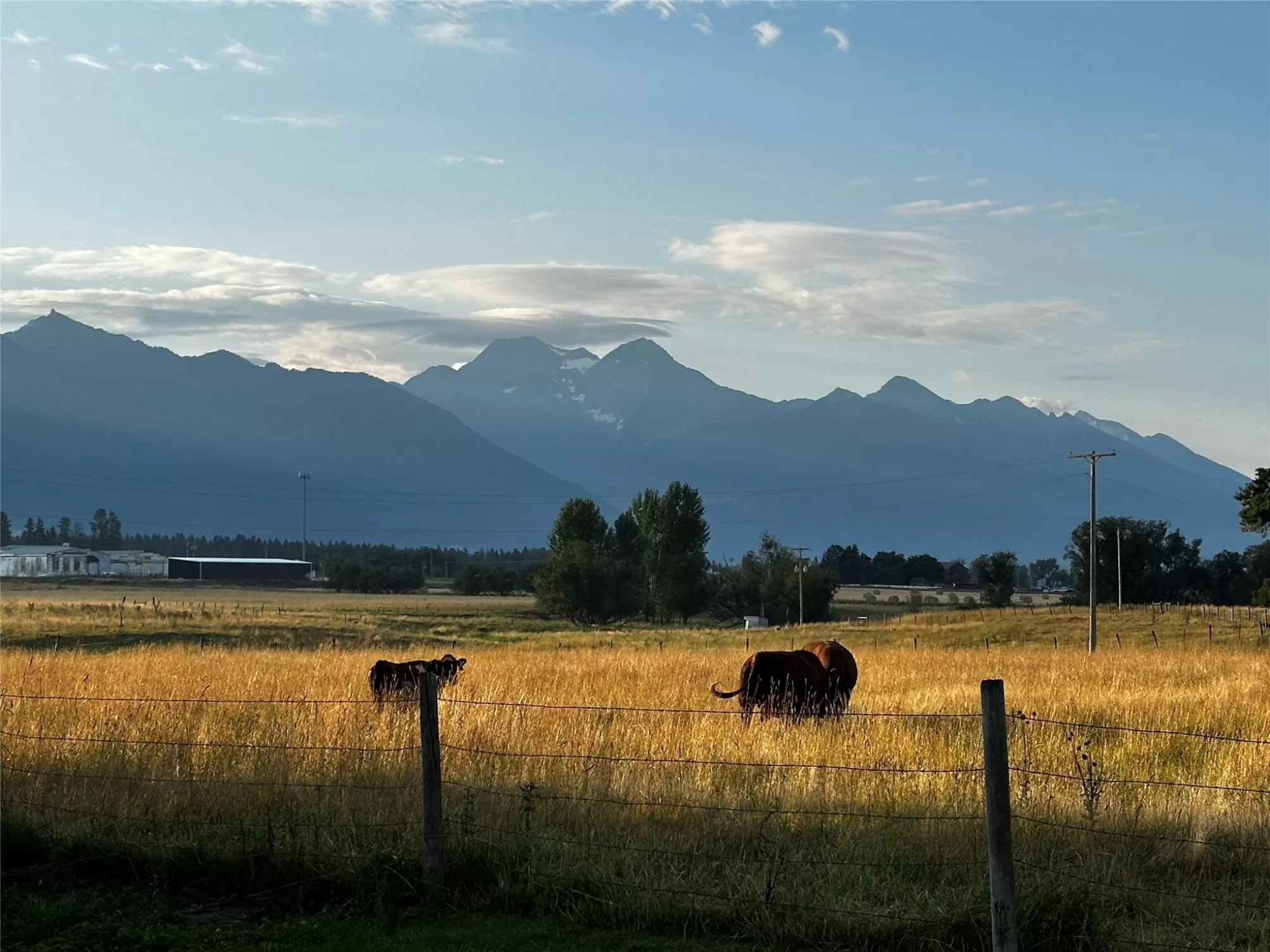 719 1 2 5th Avenue Sw Ronan Waterfront