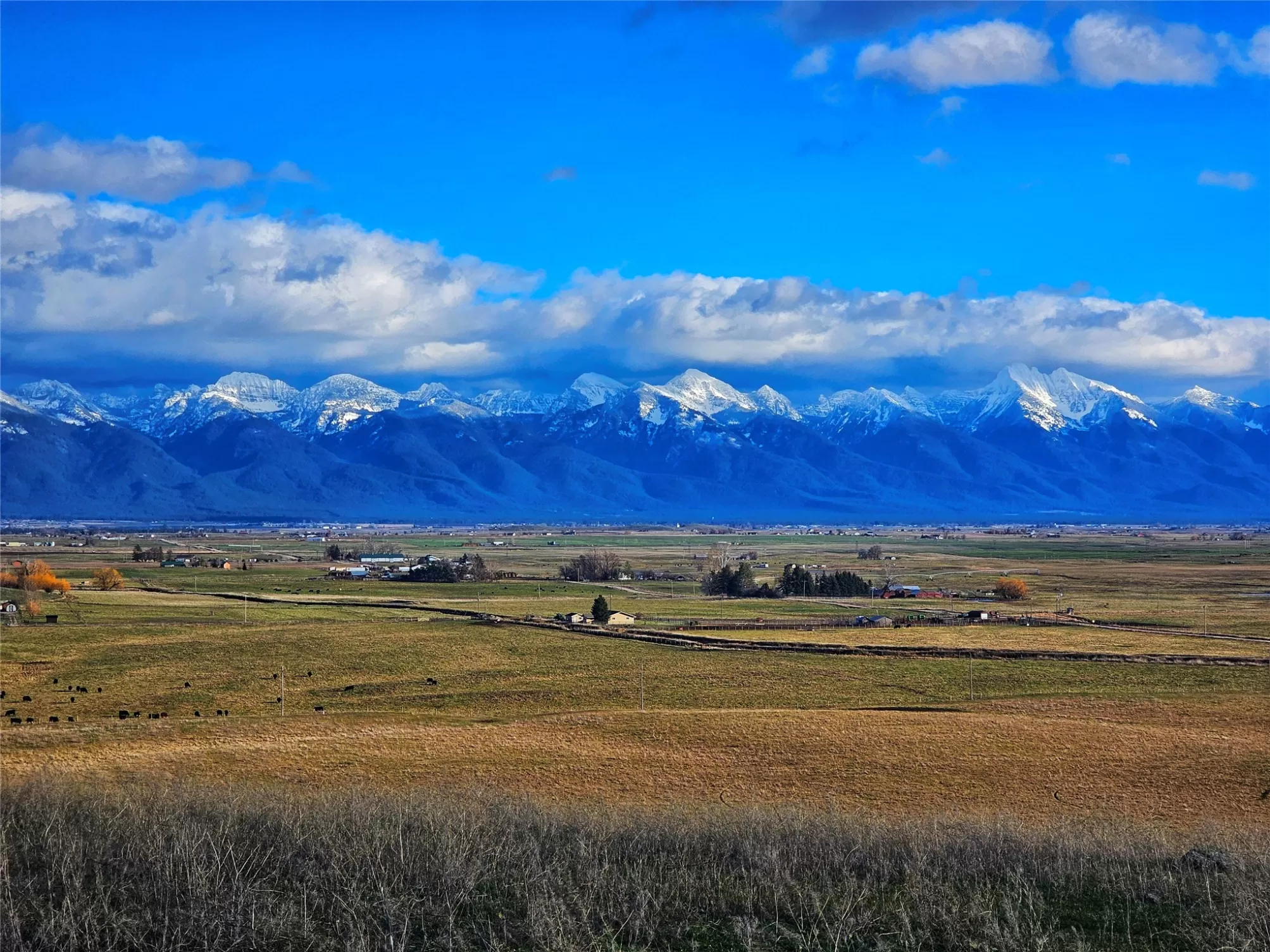 Nhn Turnquist Road Ronan Unimprovedland Horse Wate