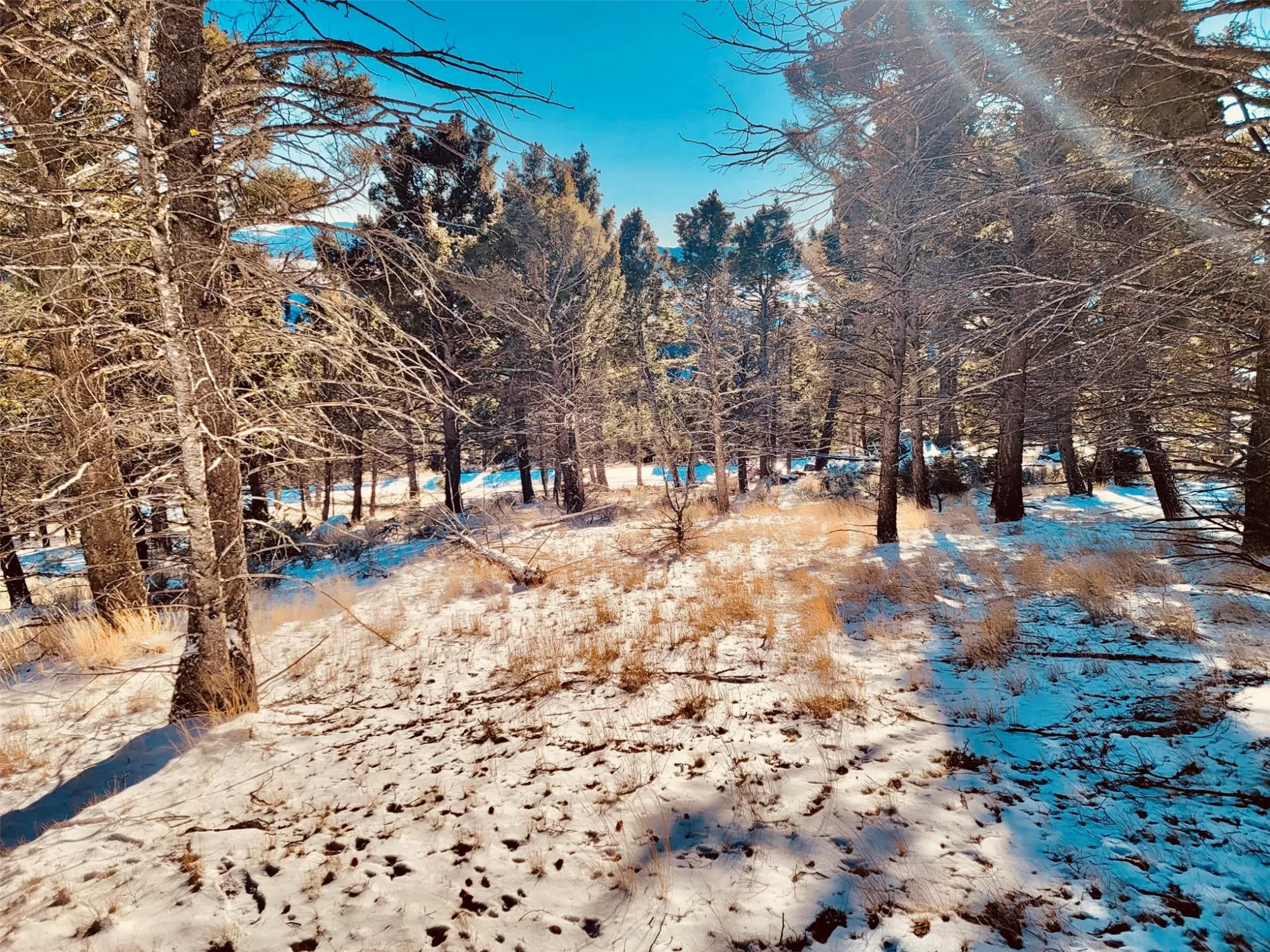 Tbd Mining Claim Access Basin Miningclaim Waterfro