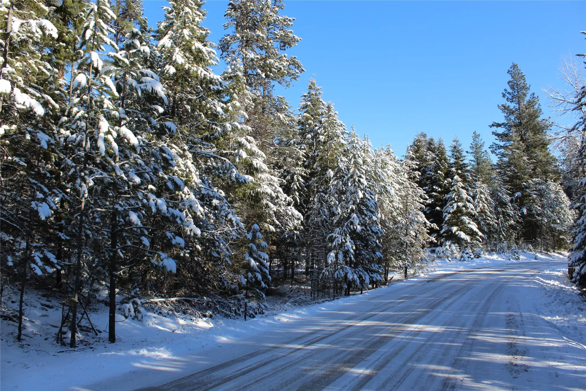 180 Cabin City Loop St Regis Singlefamilyresidence