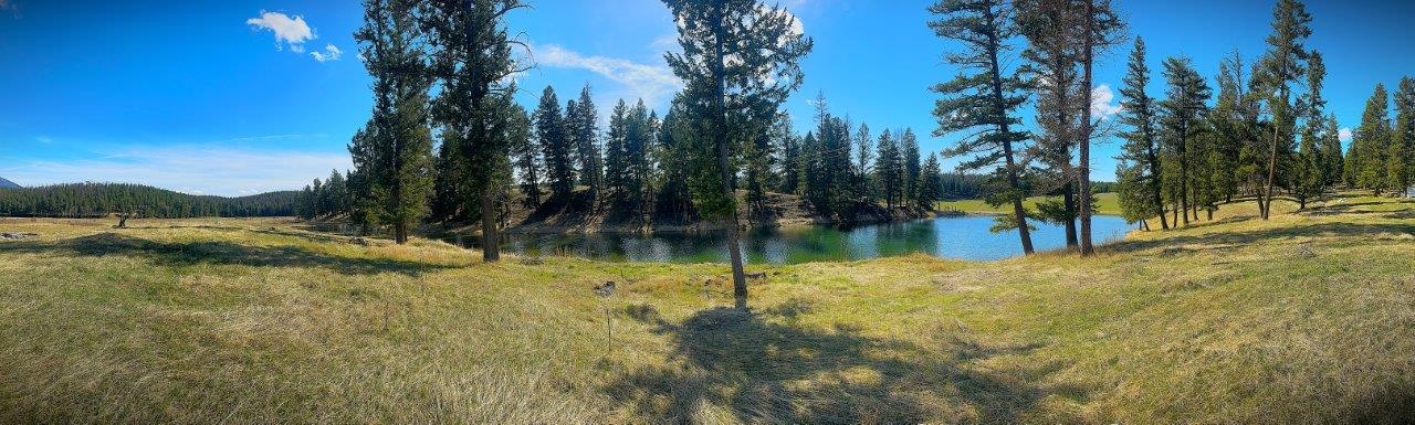 397 Malama Aina Road Eureka Waterfront 31 Acres