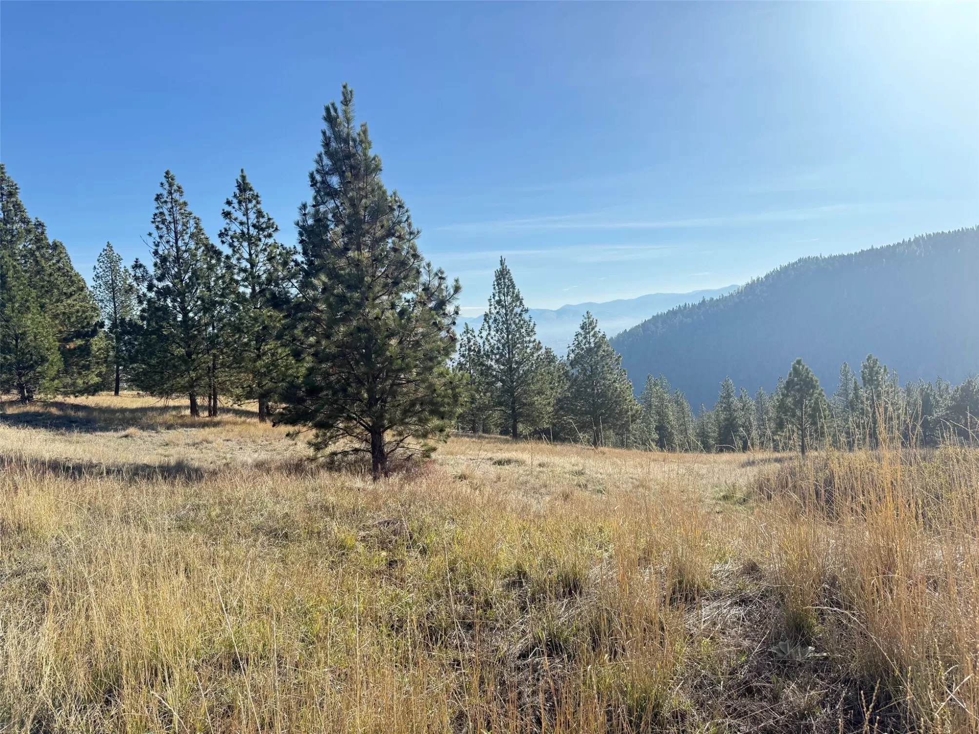 Parcel 1c Dry Gulch Road Missoula Unimprovedland W