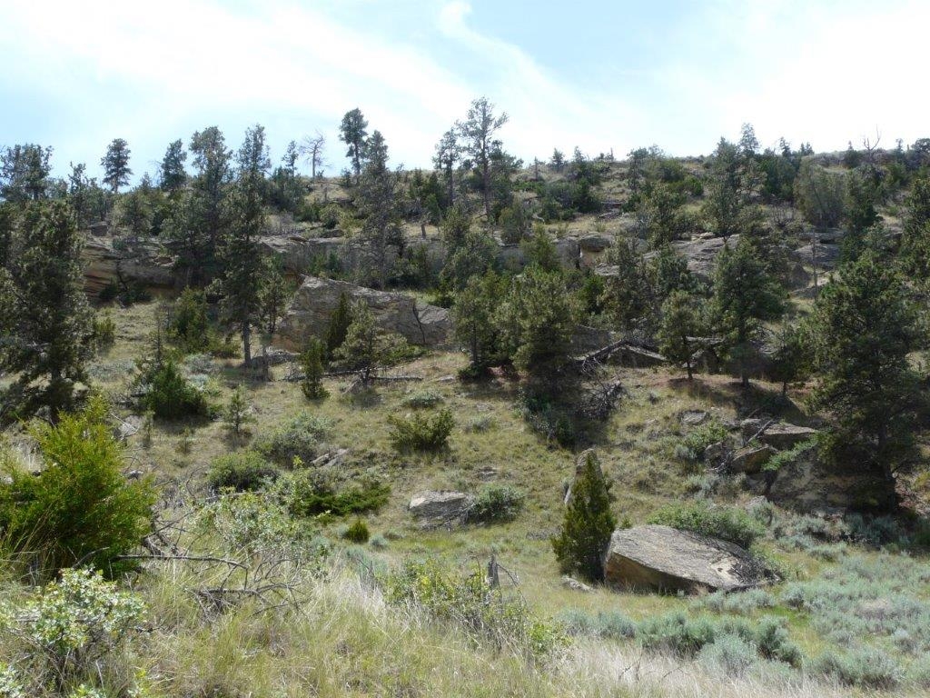 115 Red And King Gulch Road Laurel Horse Ski Water