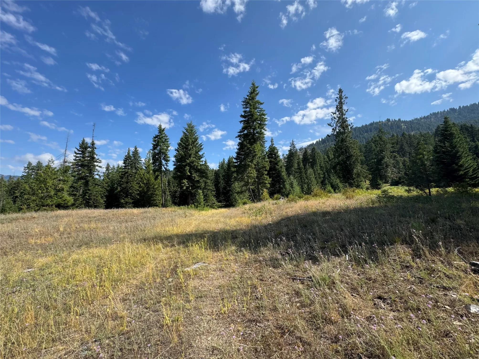 Tract 3   6 Mckay Minor Road Noxon Unimprovedland