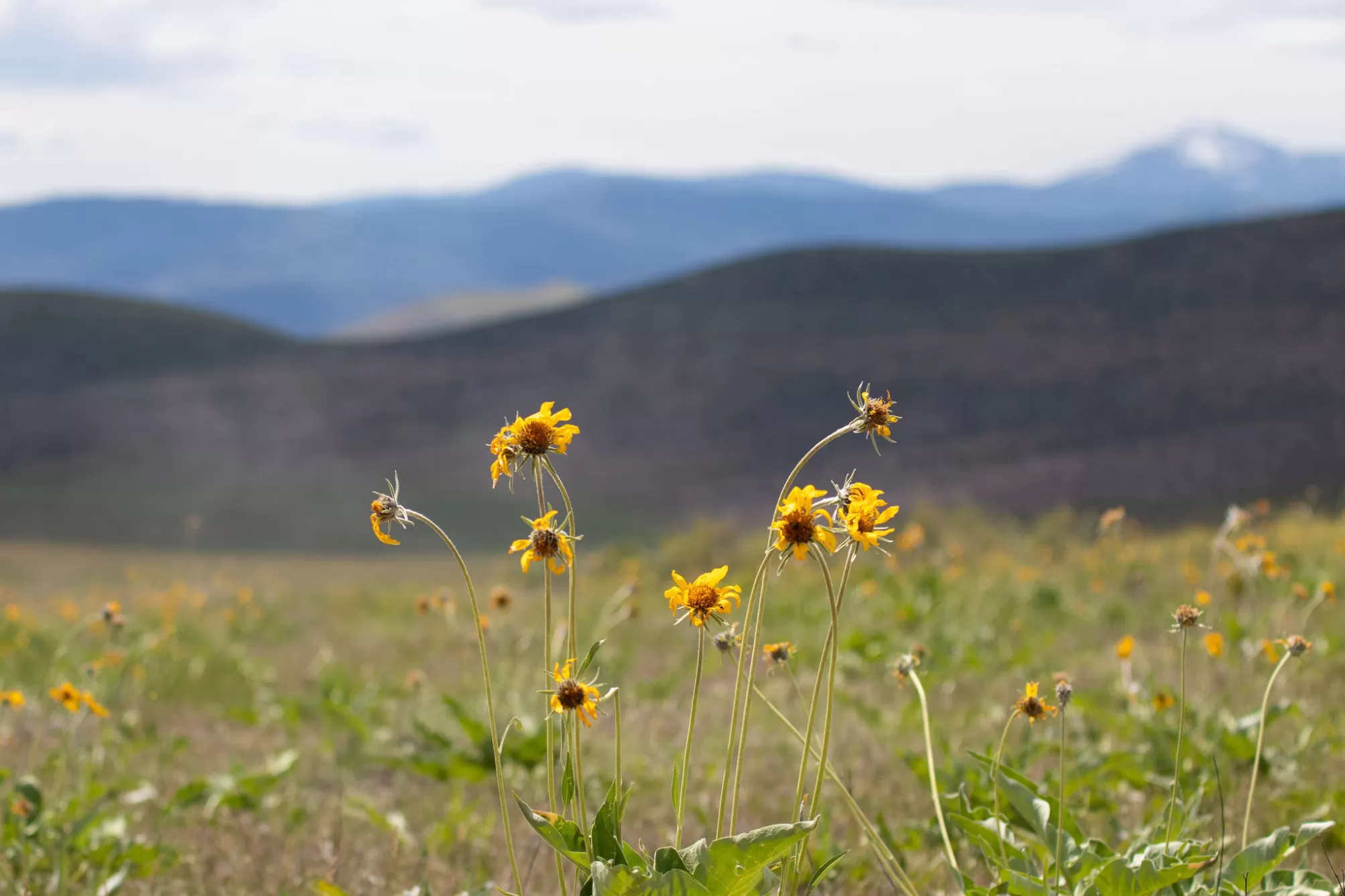 7800 Browns Meadow Road Niarada Waterfront 30 Acre