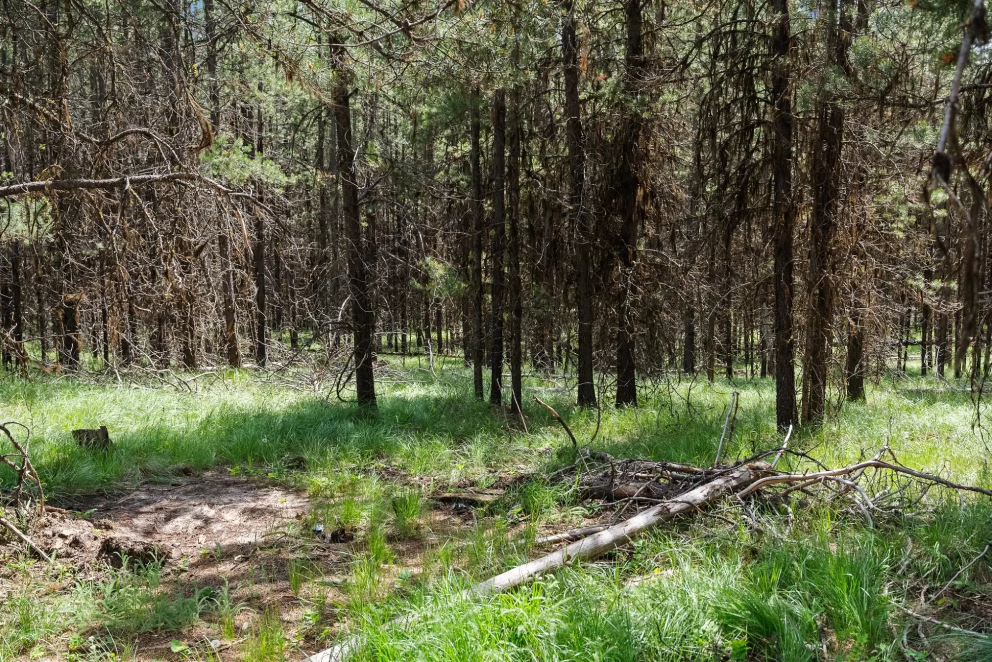 182 New Timber Ridge Trail Marion Unimprovedland H