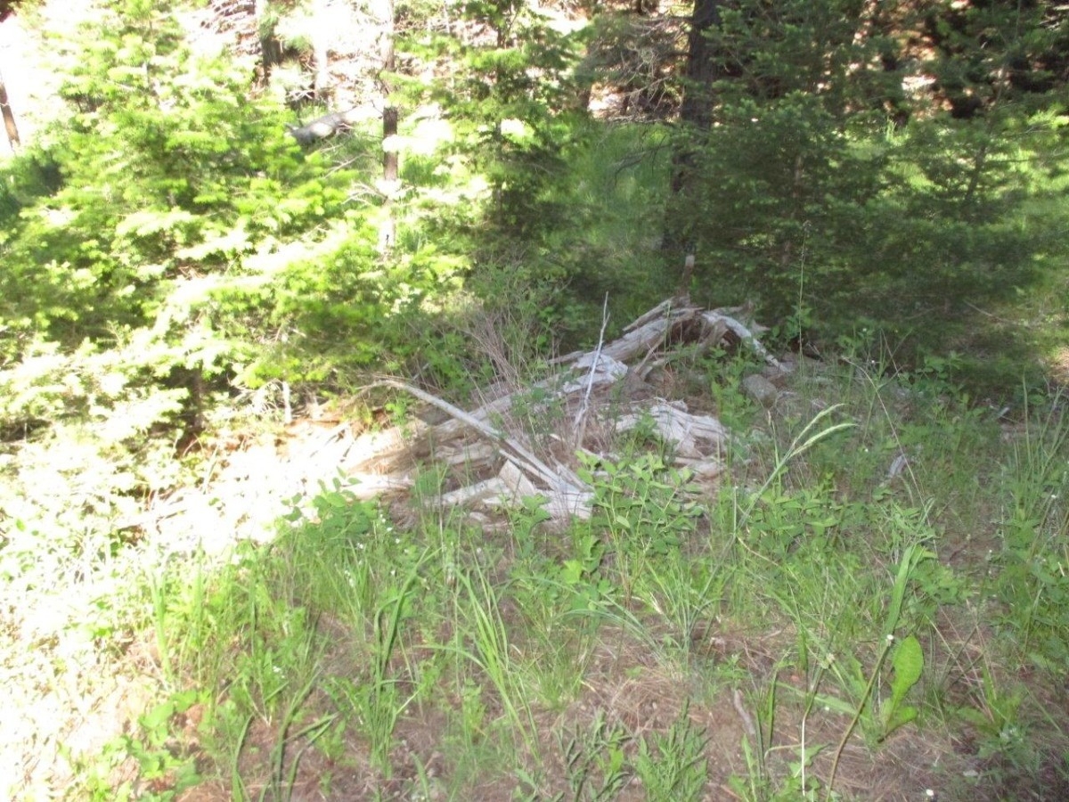 122 Upper Andy Creek Lane Cascade Unimprovedland S