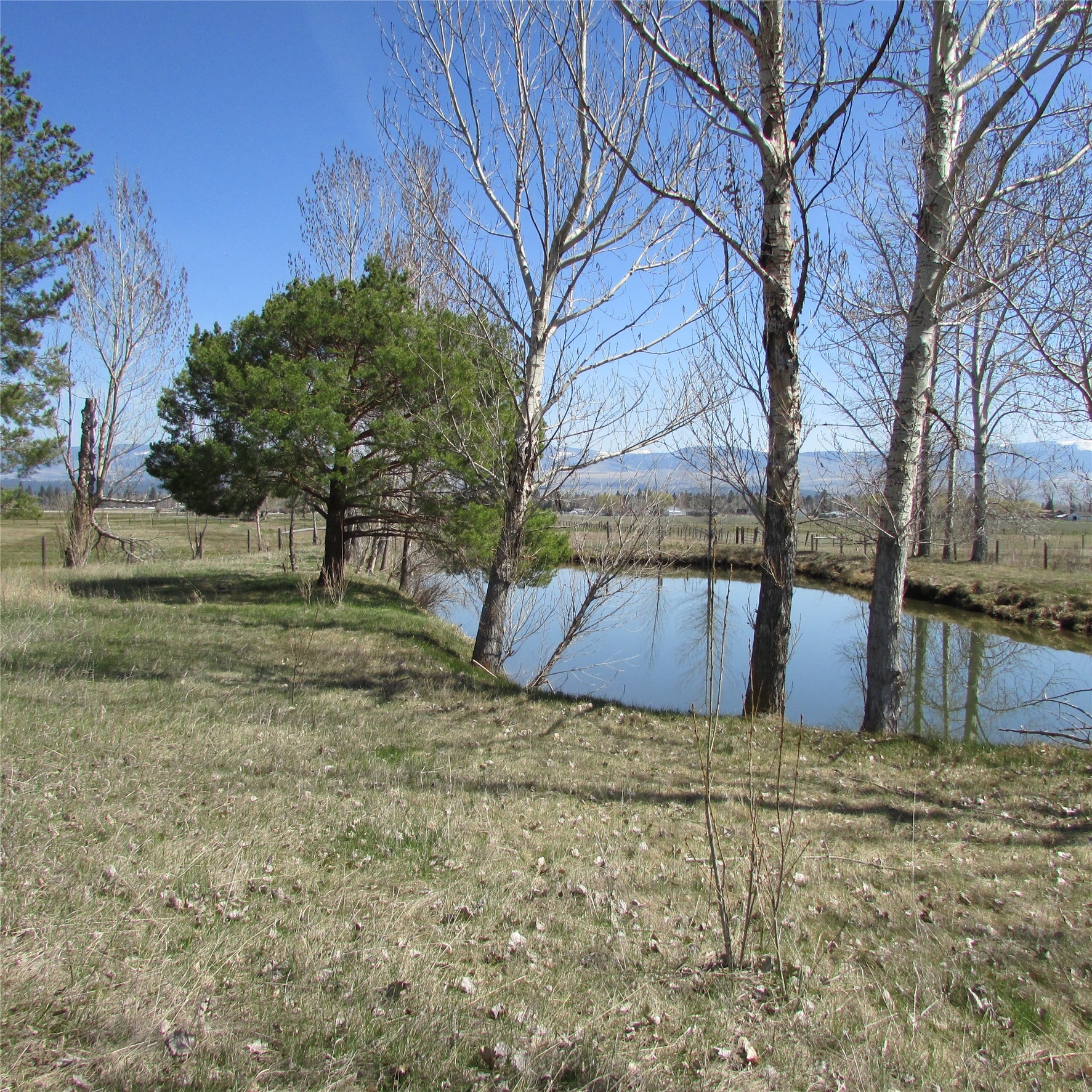 Nhn Meridian Road Victor Horse Waterfront 123 Acre