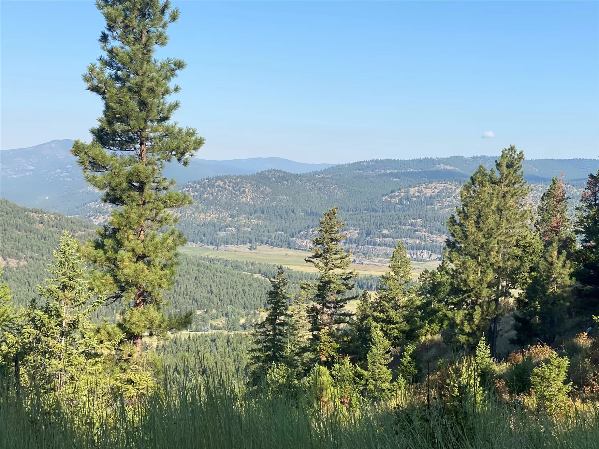 Nhh Whitetail Ridge Kalispell Horse Waterfront 795
