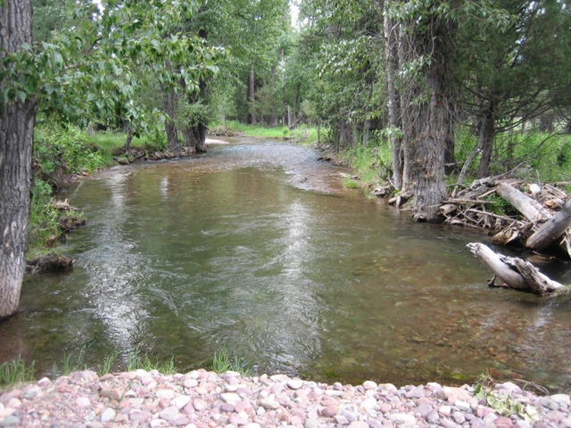 2980 Hwy 83 N Seeley Lake Commercial Waterfront 20
