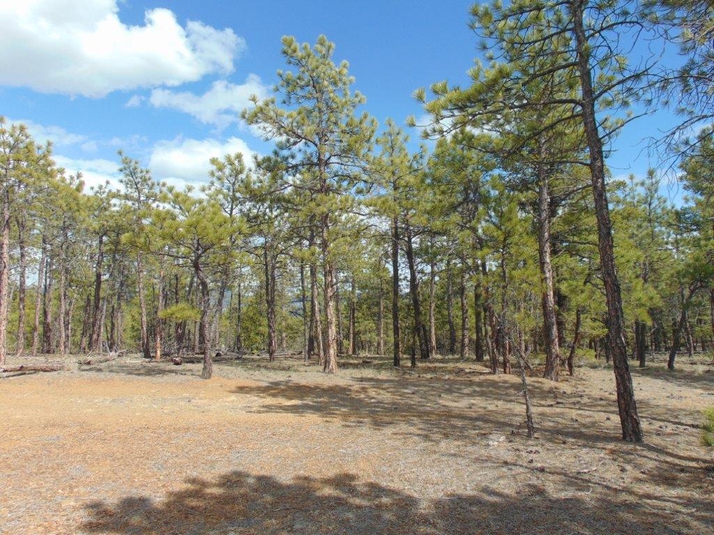 3575 Sweetwater Road Helena Waterfront 8 Acres