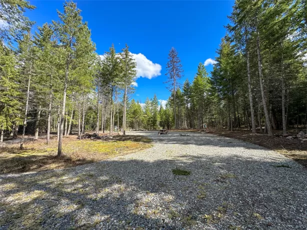 8 Mcarthur Way Trout Creek Waterfront 13 Acres
