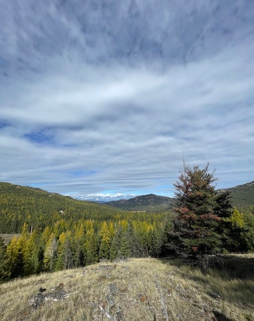 1695 Wild Bill Road Kila Singlefamilyresidence 1 B