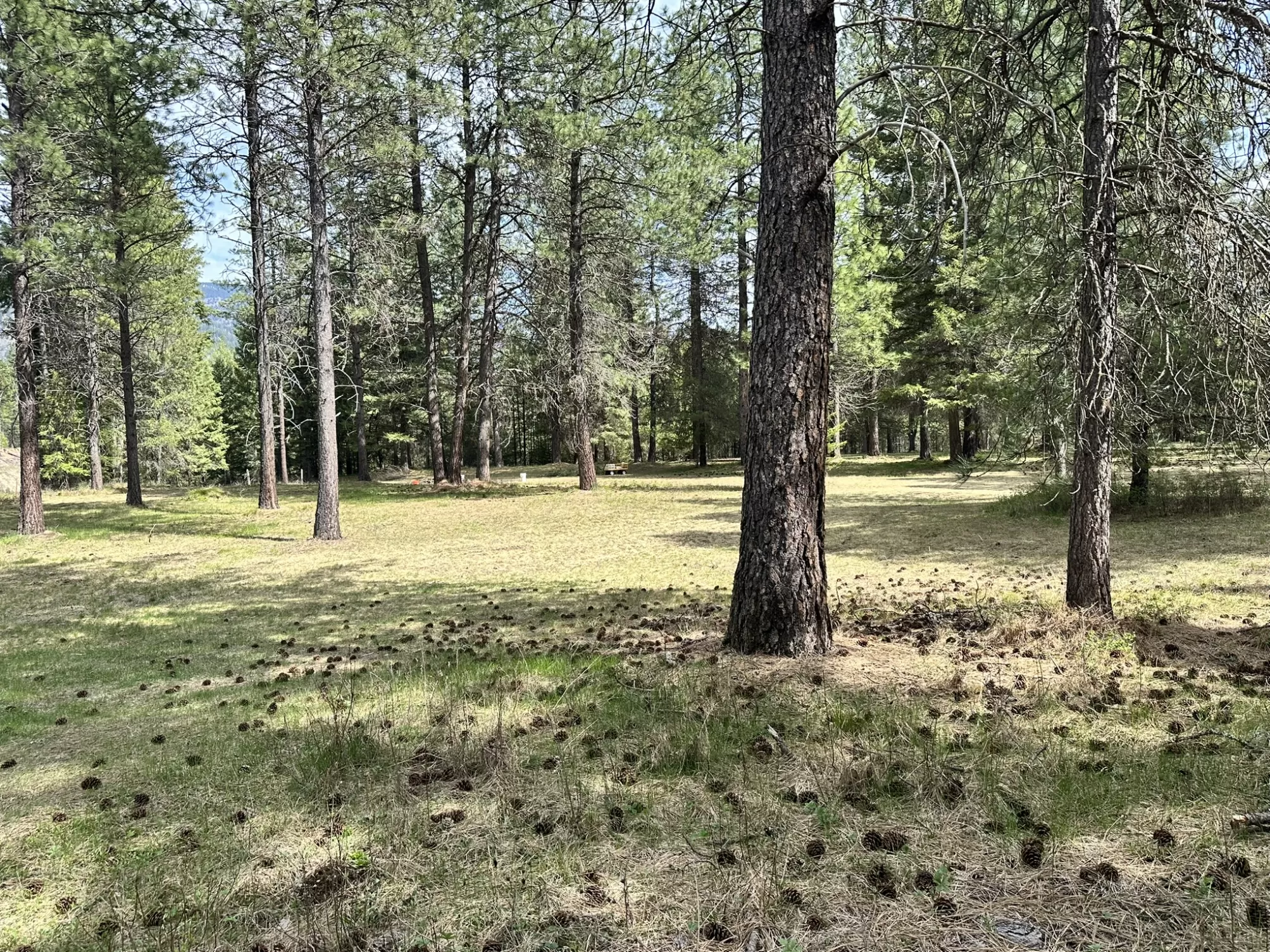3349 MT Hwy 200 Trout Creek Singlefamilyresidence