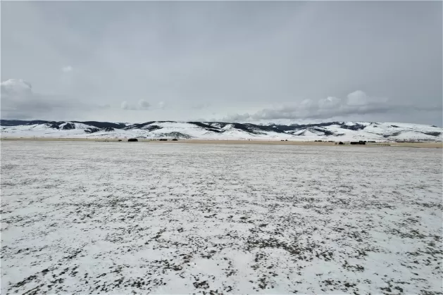 Tract C1 Hwy 287 Cameron Waterfront 20 Acres