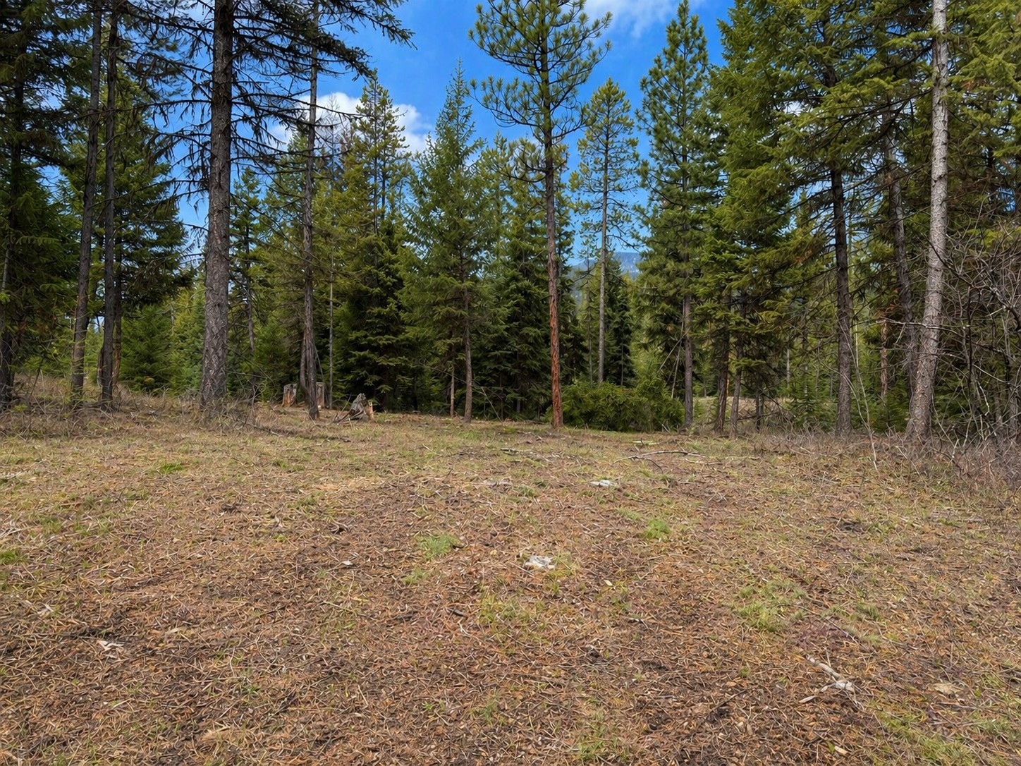 80 Blaney Lane Kila Horse Ski Waterfront