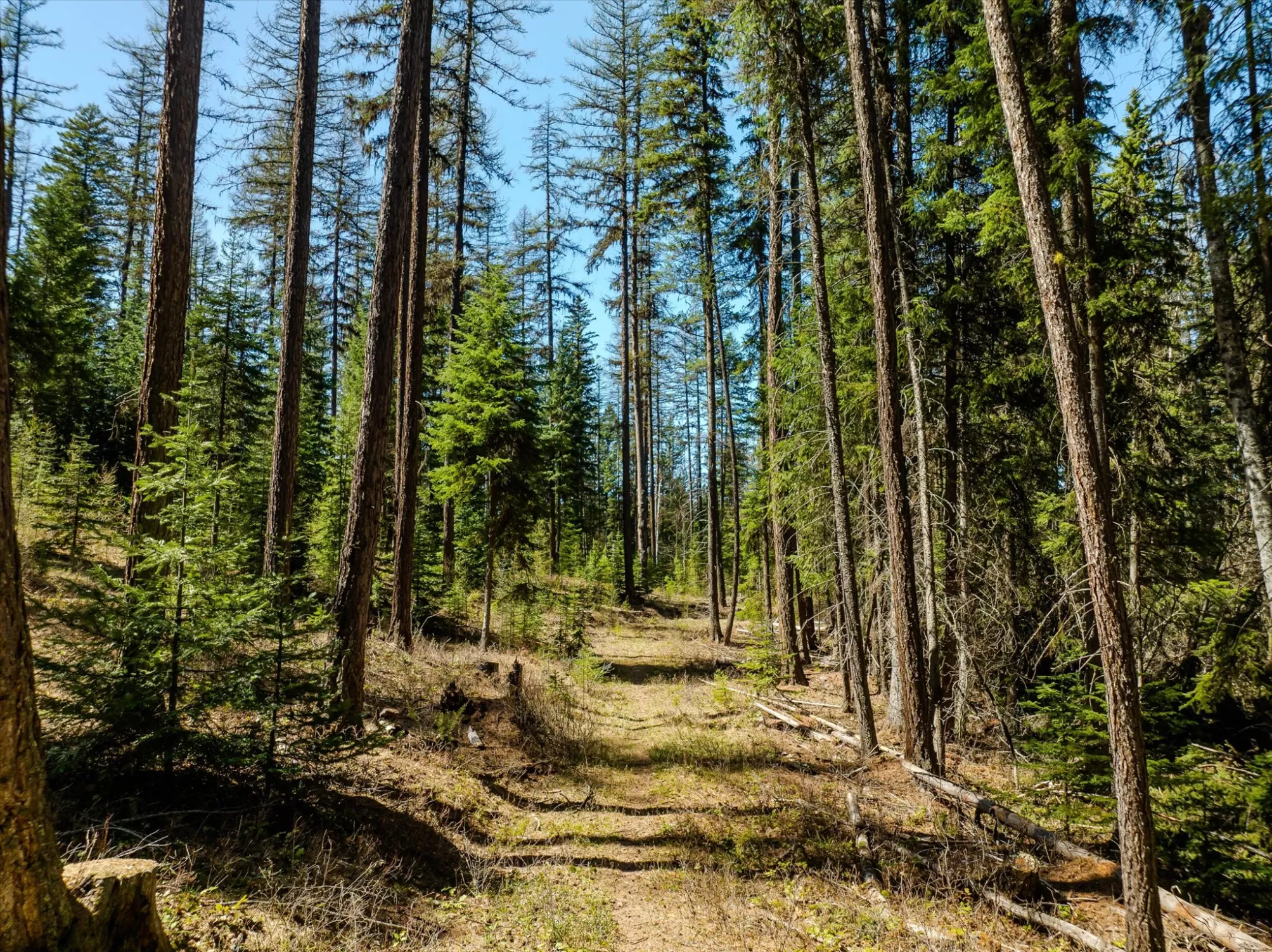 675 Beaver Lake Road Whitefish Singlefamilyresiden