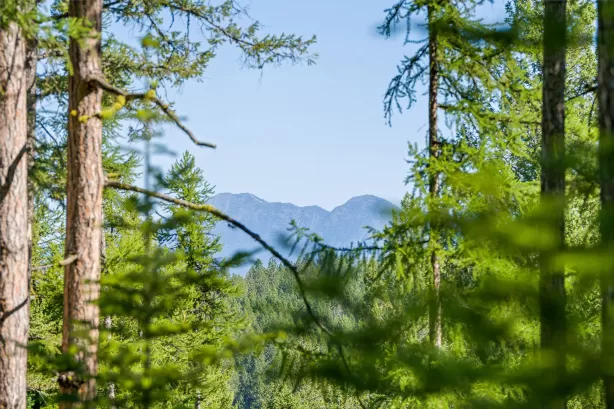 385 Saddlehorn Trail Bigfork Waterfront