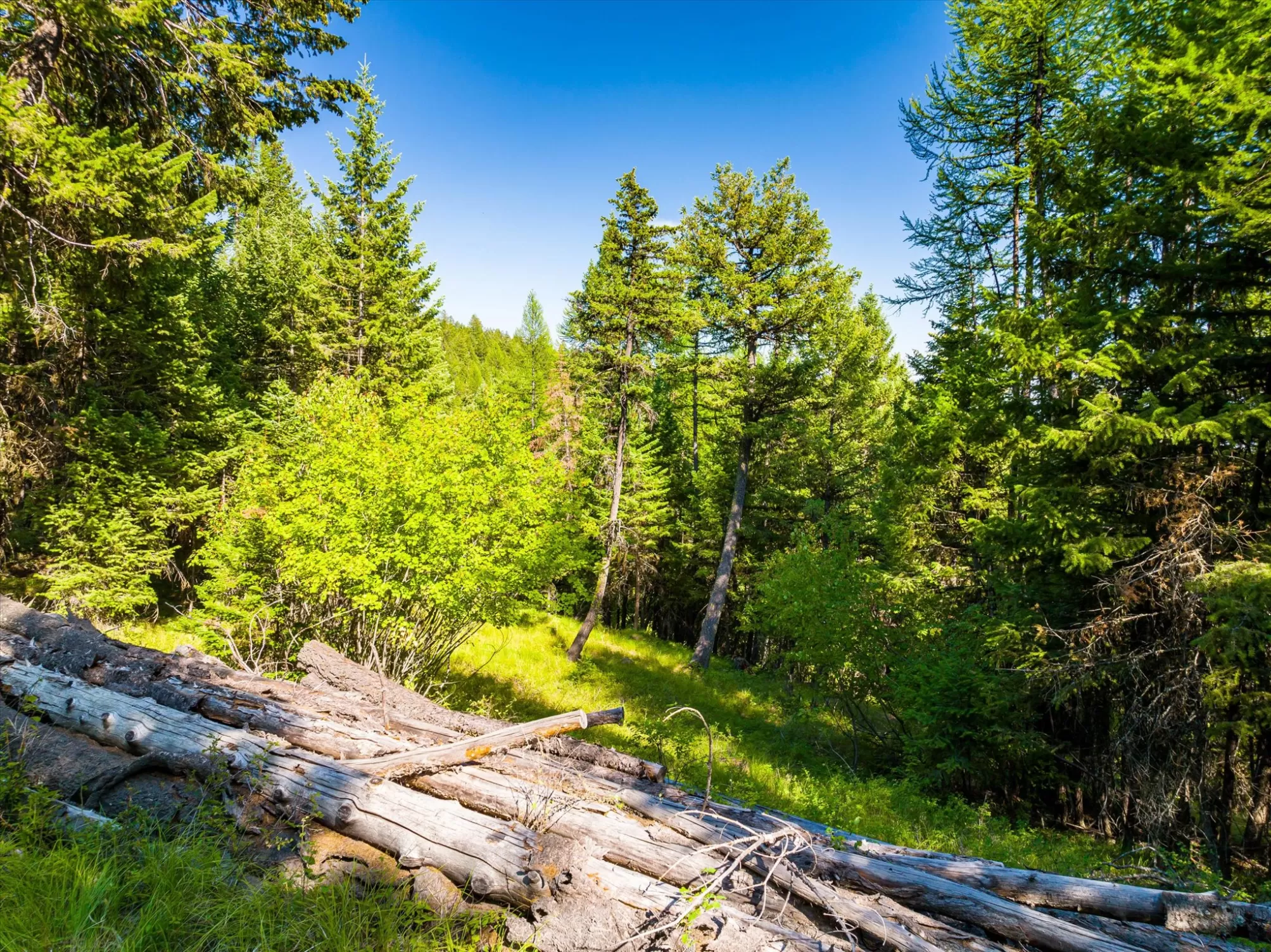 2255 Ashley Lake Road Kalispell Unimprovedland Wat