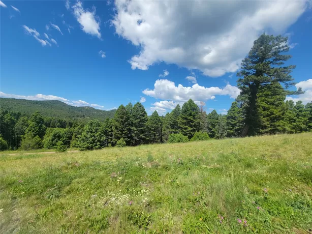 Lot 83 Hoover Creek Road Helmville Unimprovedland