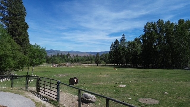 990 Timber Point Lane Hamilton Unimprovedland Hors