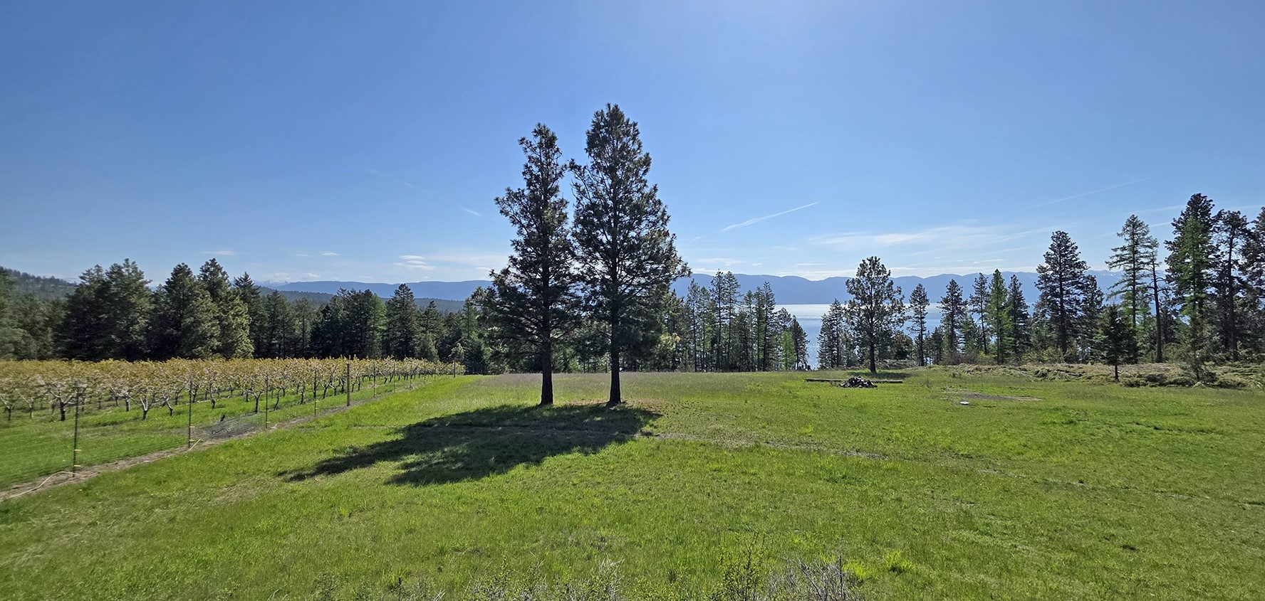 22756 Us Highway 93 Rollins Waterfront 18 Acres
