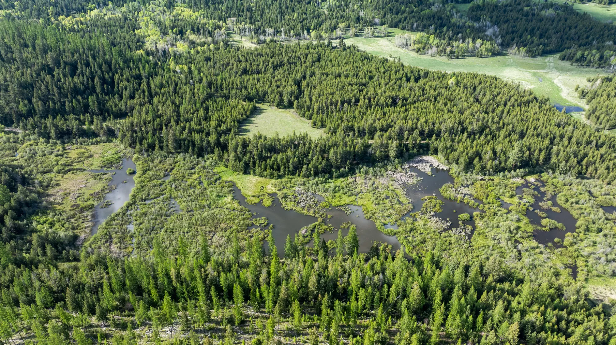 3180 Browns Meadow Road Kila Unimprovedland Waterf