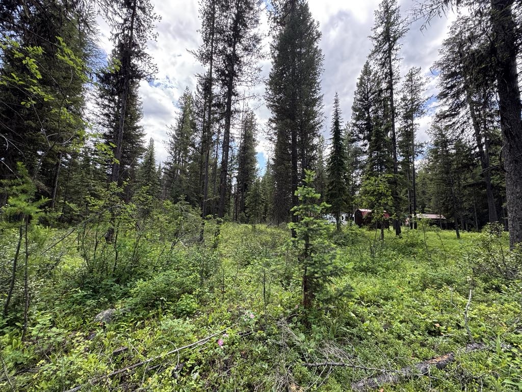 768 Deep Woods Trail Polebridge Unimprovedland Ski