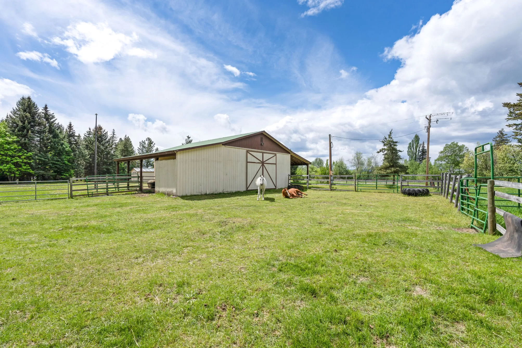 985 Jellison Road Columbia Falls Singlefamilyresid