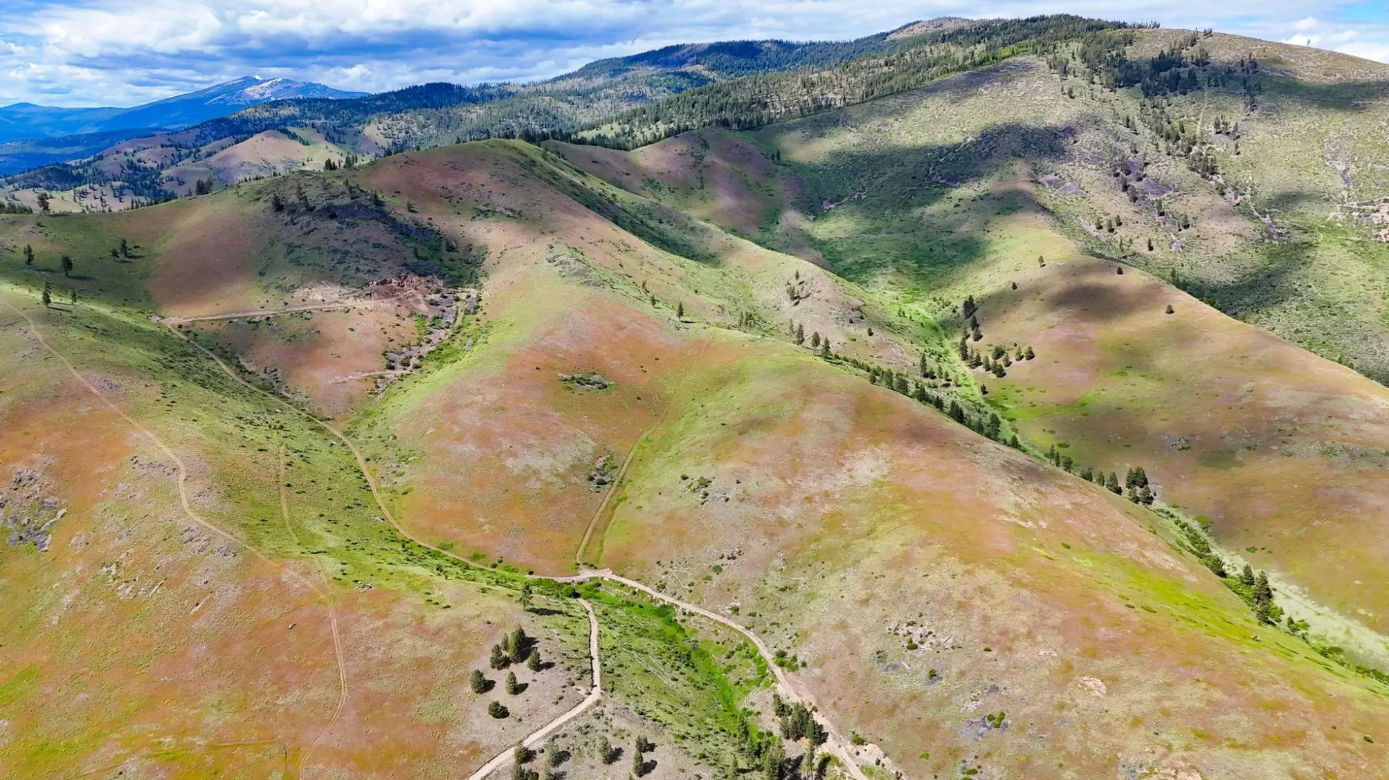 285 Henry Creek Road Plains Waterfront 201 Acres