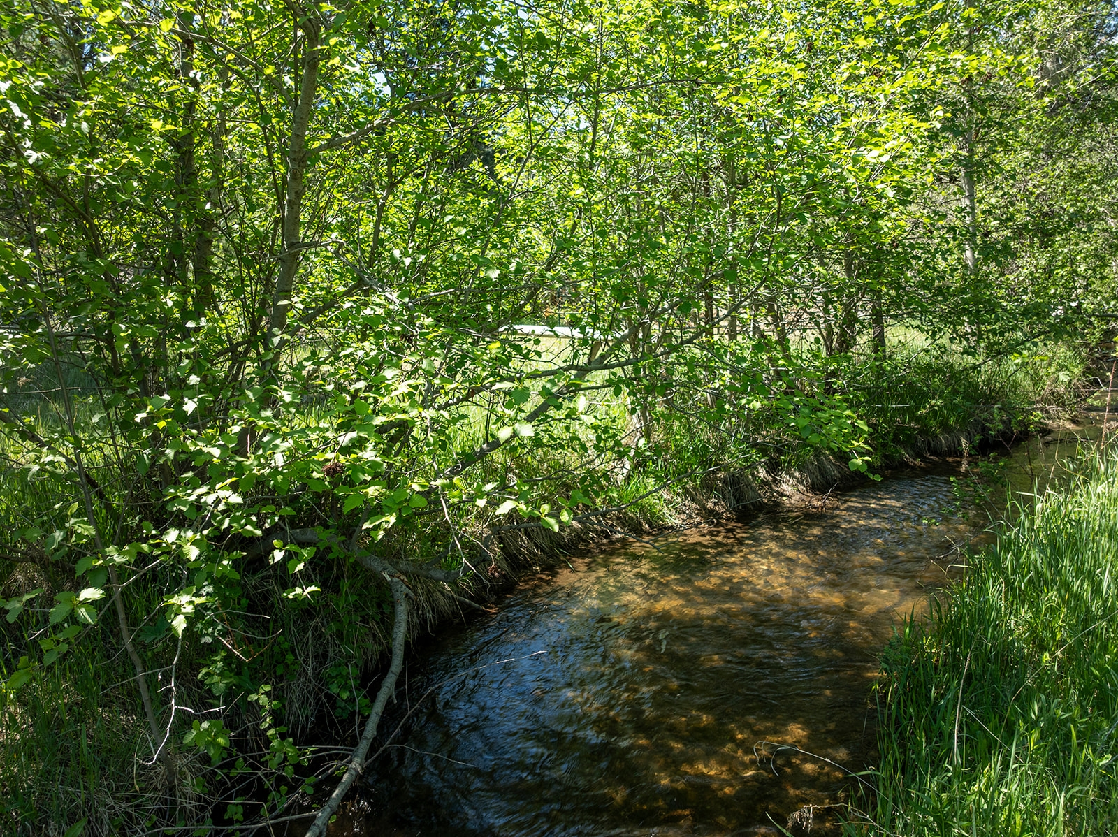 Tbd Clancy Creek Road Clancy Waterfront