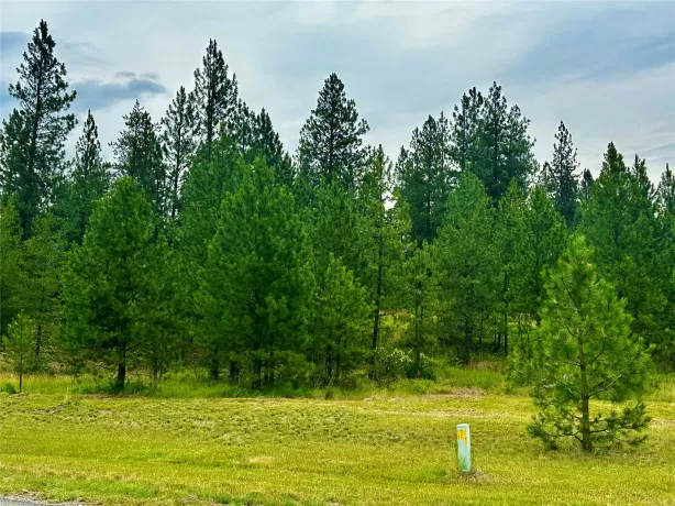 Nhn Mahonia Road Plains Waterfront