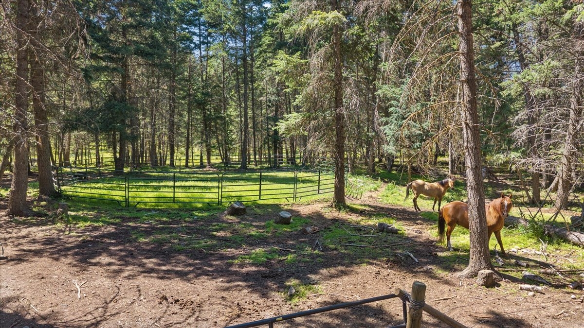 1105 Mountain Meadow Road Kalispell Singlefamilyre
